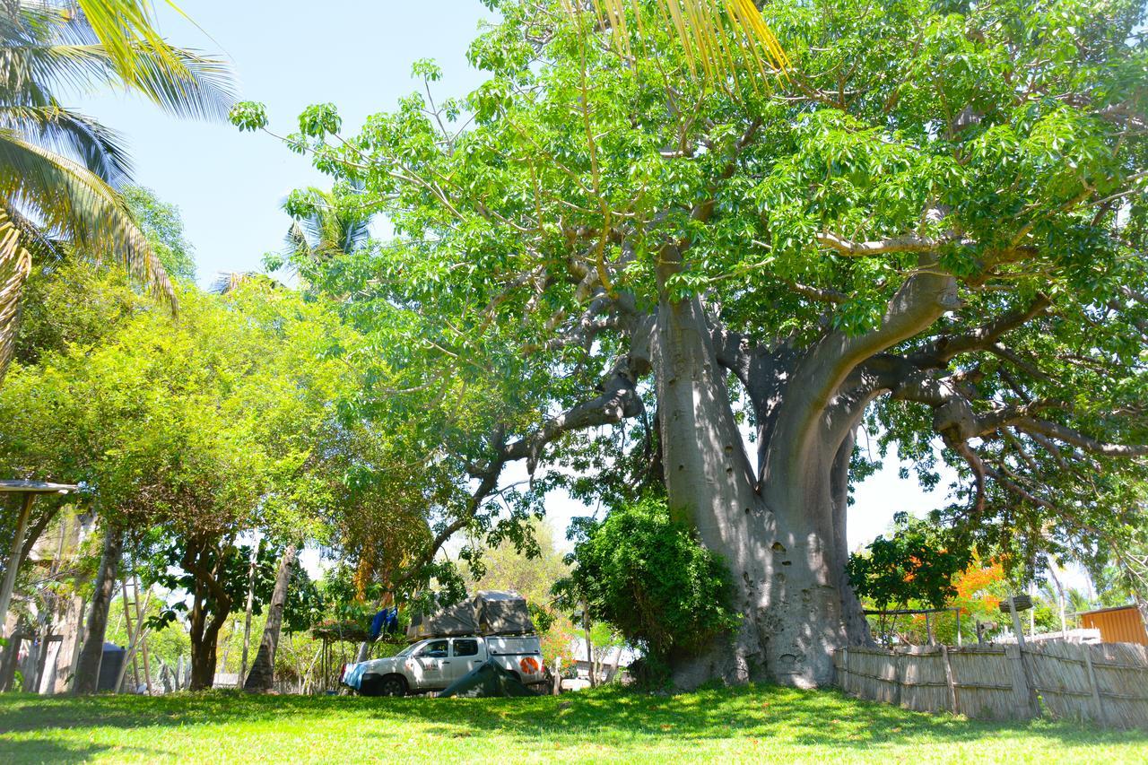 Baobab Beach Vilanculos Eksteriør bilde